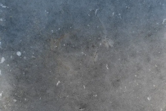 Casino Coins Game Supporto